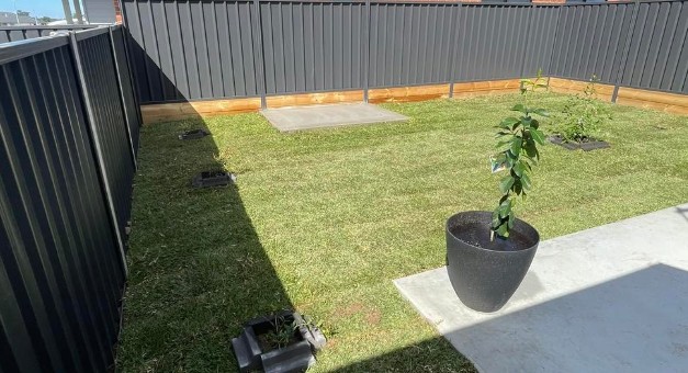 Backyard earthworks and turf