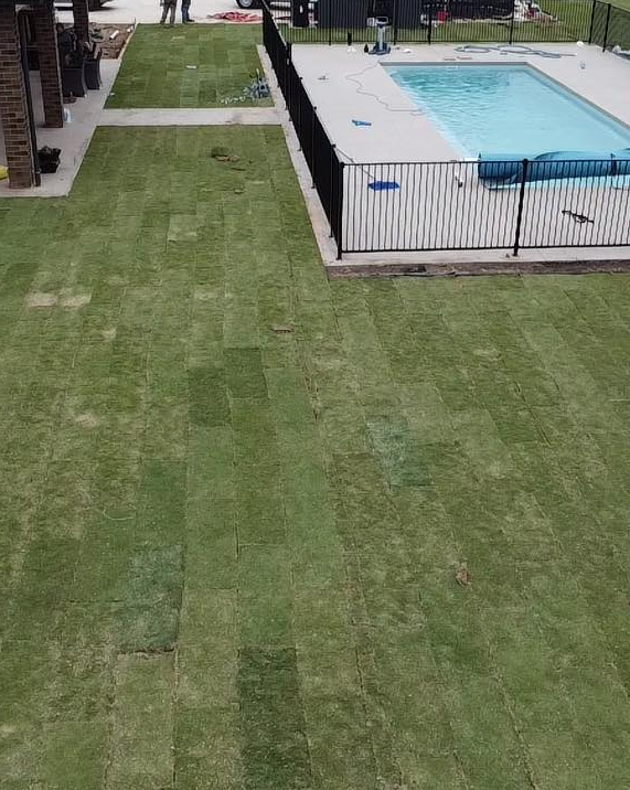 Turf laid in large backyard